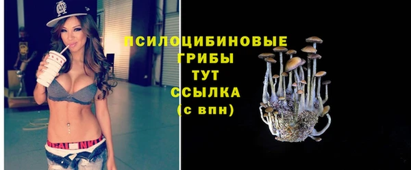 Альфа ПВП Алексеевка