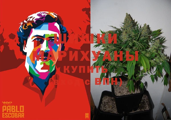 сатива Алексин