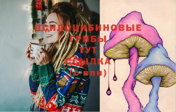 Альфа ПВП Алексеевка